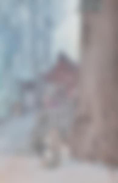 A Misty Day in Nikko (preview)
