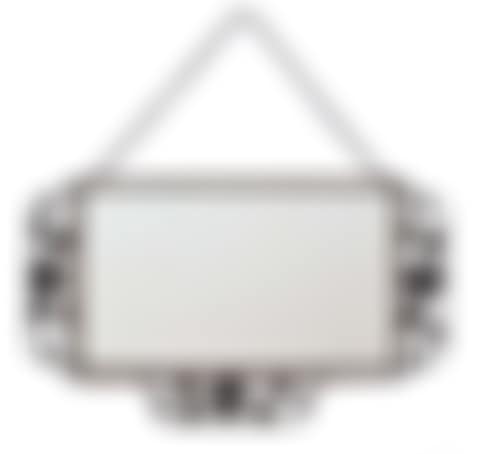 FRENCH MIRROR WITH WROUGHT IRON ROSE MOTIF SURROUND (preview)