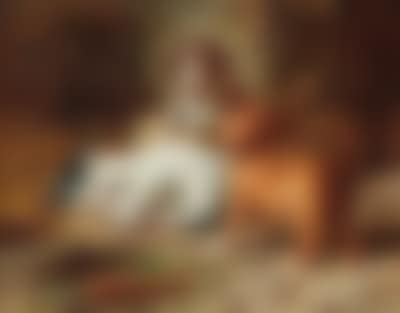 The Puppies Are Awake (preview)