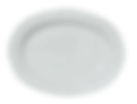 PORCELAIN MEAT PLATTER (preview)