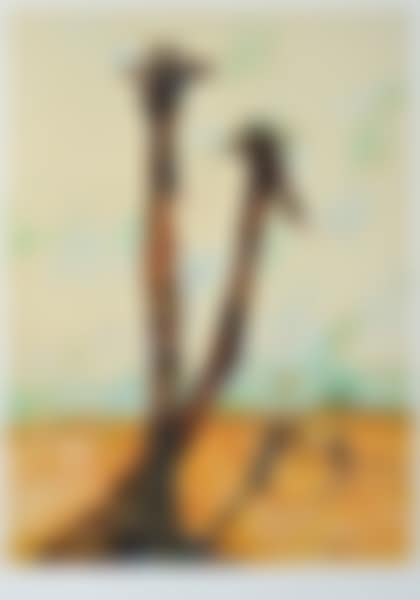 Giraffes of Mt Kenya (preview)