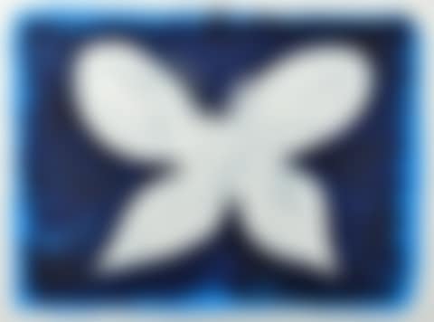 Night Sky Butterfly (preview)