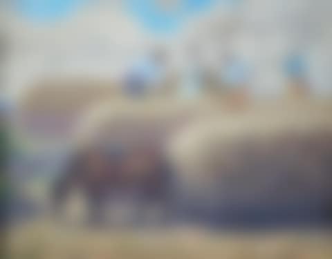 BAILING HAY (preview)