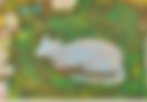 The Cat"s Garden (preview)