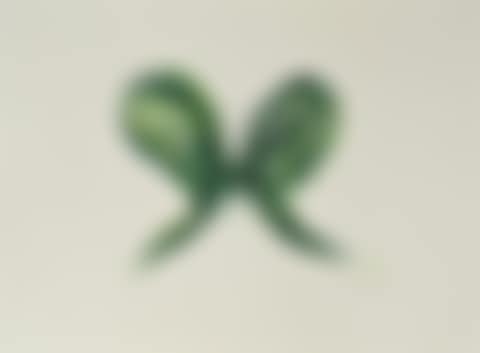 Leaf Butterfly (preview)