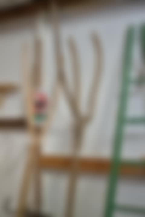 EARLY RUSTIC FRENCH HAY FORK (preview)