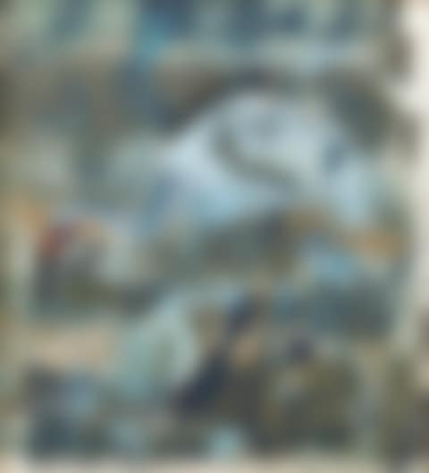 Wild Australia 1971 (preview)