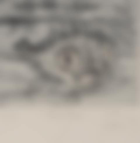 Toad Fish (preview)
