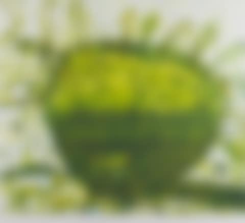 Lily Pond (preview)