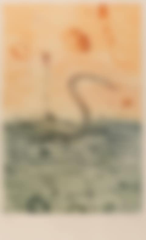 Swan on the Orde River (preview)