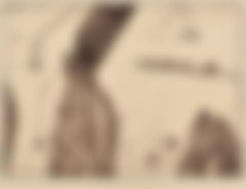 The Slip Arrives (preview)
