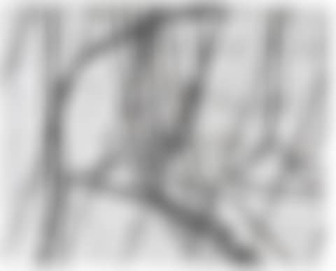 No.5 (preview)