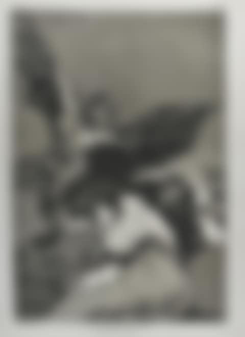 Soplones no.48 (preview)