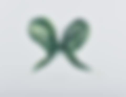 Leaf Butterfly (preview)