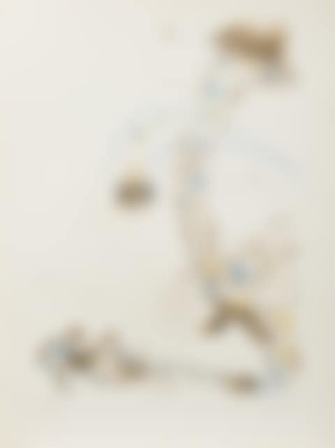 Emus (preview)