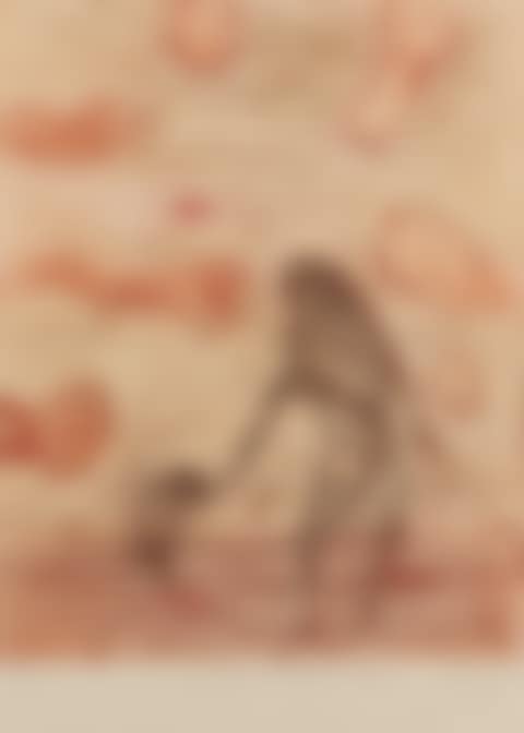 Aboriginal Mother and Child (preview)