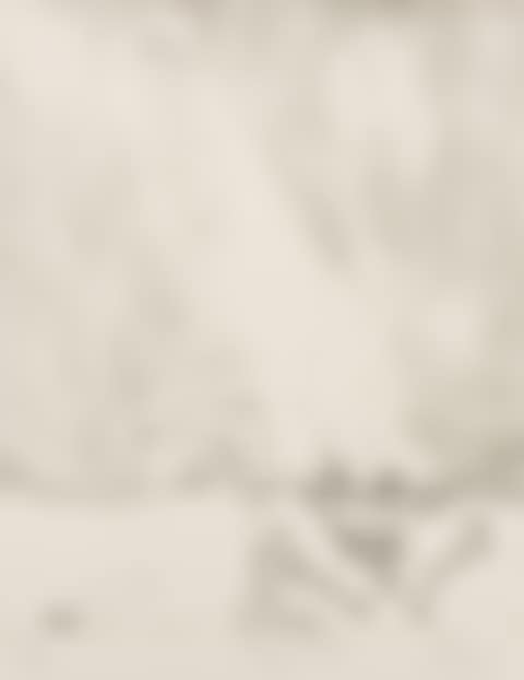 Frog In The Rain (preview)