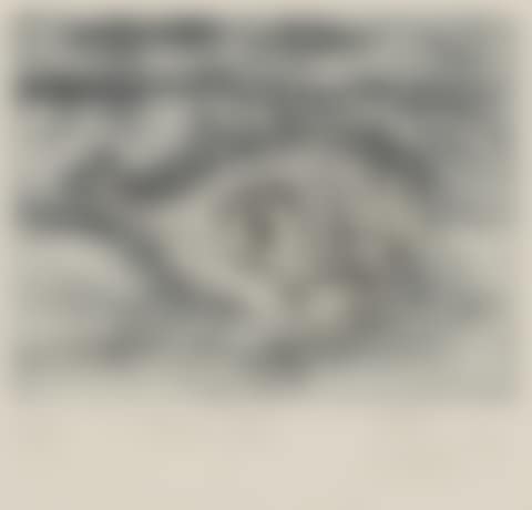 Toad Fish (preview)