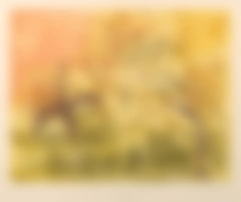Scrub Turkeys and King Leopold Ranges (preview)