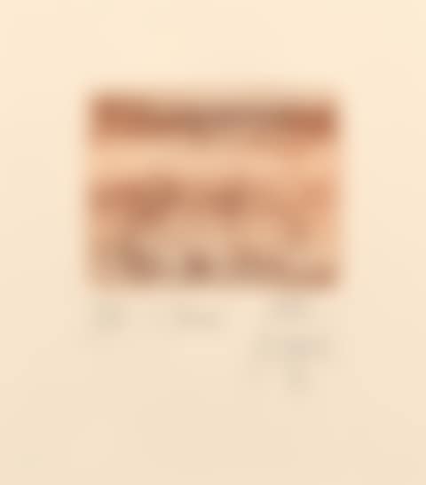 Camel 2004 (preview)