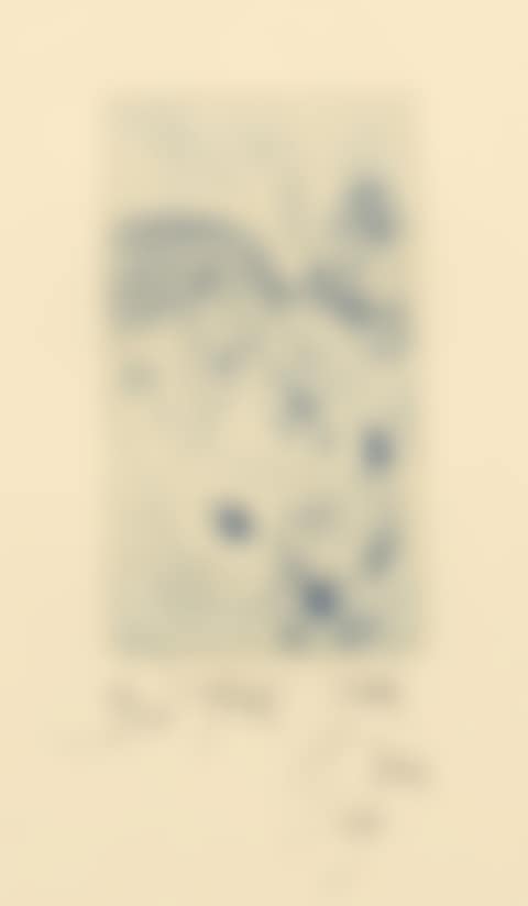 Fish (preview)