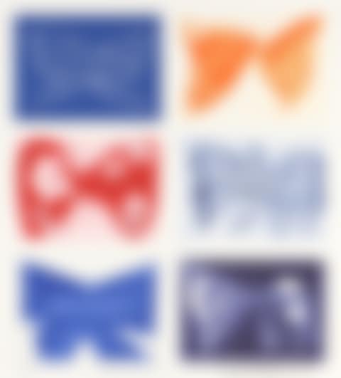 Papillon 6 (preview)