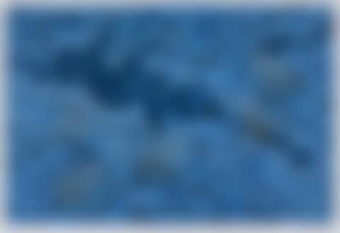 Pitoa Garkman (Blue Frogs) (preview)