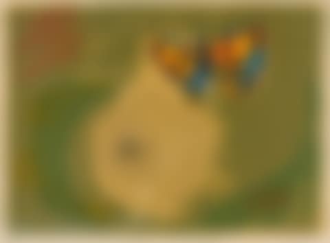 The Web (preview)