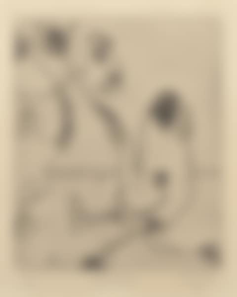 Wild Camels (preview)