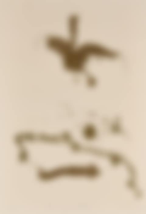 Birds and Kangaroo Landscape (preview)