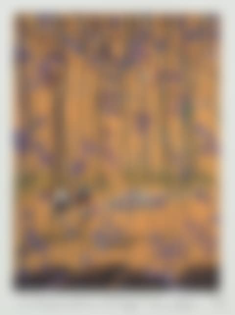 X and Ray in the Garden of Earthly Delights 2001 (From the Ongoing Adventures of X and Ray) (preview)