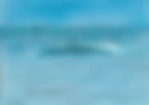 The Wave (preview)