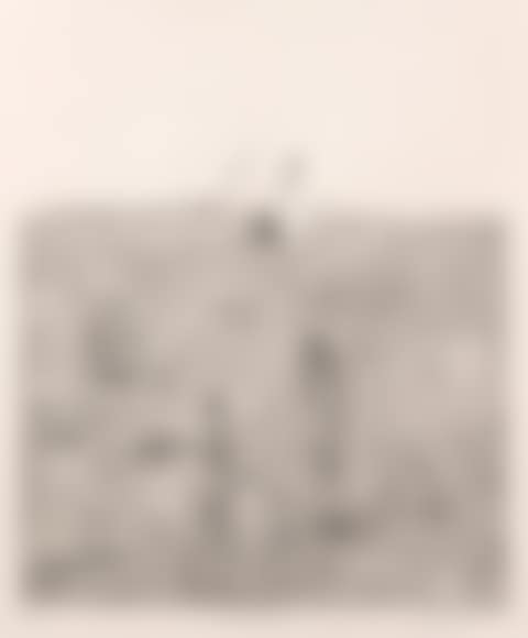 Bird Dawn 1975 (preview)