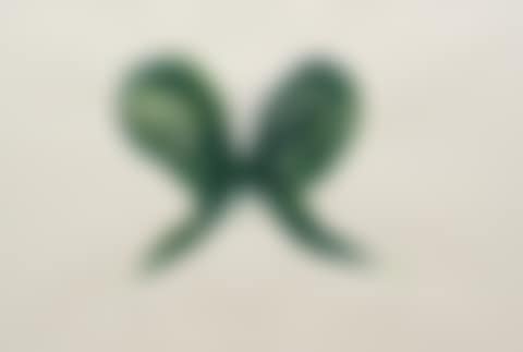 Leaf Butterfly (preview)
