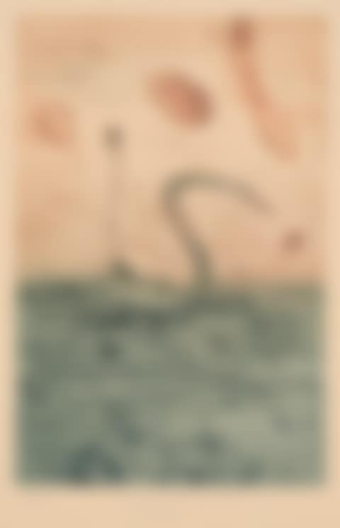 Swans on the Orde River (preview)
