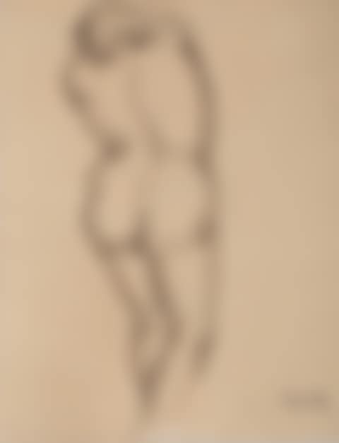 Nude backwards (Un nu de femme de dos) (preview)