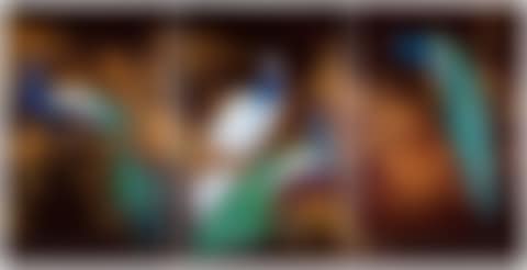 Paradise Peacocks (preview)