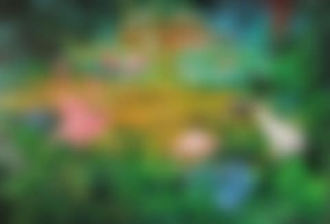 Green paradise IX (preview)