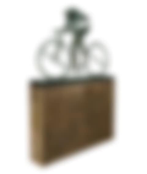 Rr100 (preview)