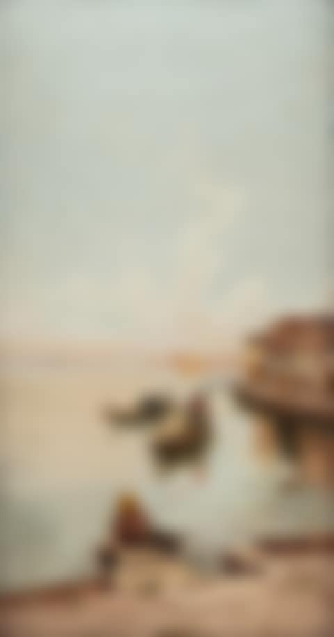 Venetian lagoon (preview)