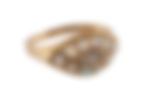 Ring (preview)