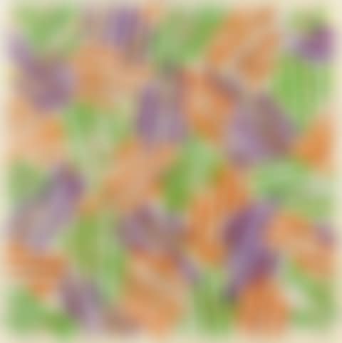 Cross Hatch (Untitled ULAE S.13) (preview)