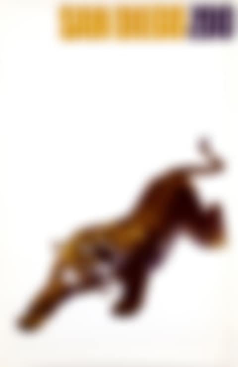 San Diego Zoo - Tiger (preview)