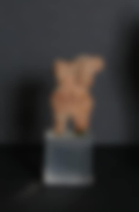 Pre-Columbian Artifact; Figure Fragment (Chupicuaro or Michoacan possible) (preview)