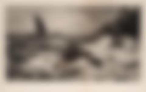 Seascape (preview)