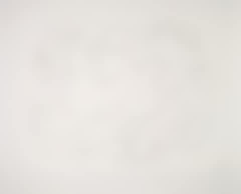 Etudes De Mains Et Colombe, 51-D - Year of Original Painting or Drawing (preview)