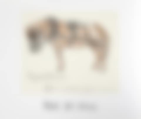 Cheval Attele (preview)