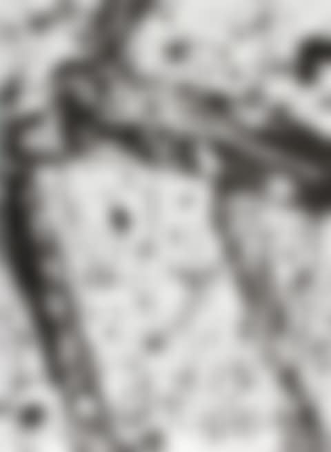 Opened (preview)
