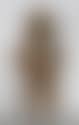 Nayarit Guardian Figure (preview)