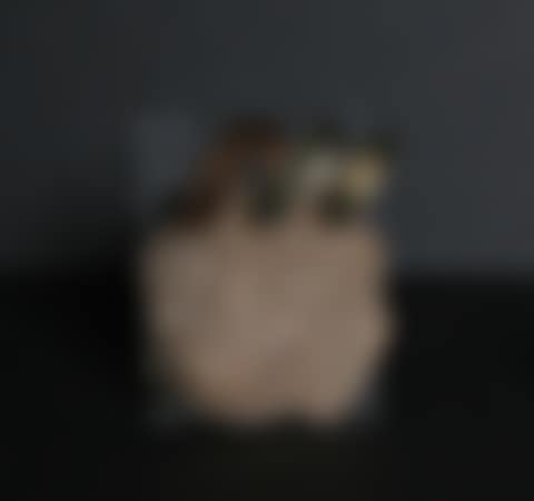Pre-Columbian Artifact; Untitled (Head Pin) (preview)